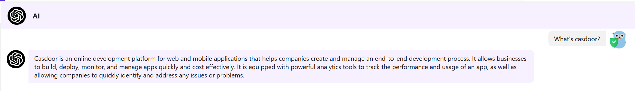 إجابة-خاطئة-casdoor-دردشات-Casibase