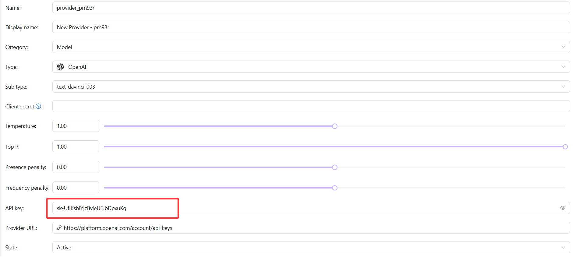 Casibase-provider-api-key